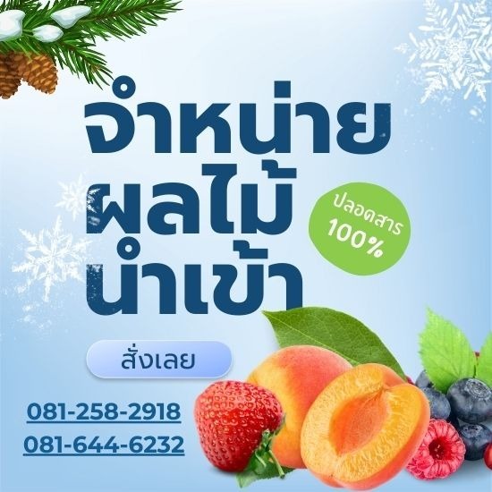 ผลไม้นำเข้า ตลาดไท - รับจัดกระเช้าผลไม้พรีเมี่ยมขายส่งผลไม้นำเข้า ผลไม้นานาชาติ ผลไม้นำเข้า ตลาดไท - รับจัดกระเช้าผลไม้พรีเมี่ยมขายส่งผลไม้นำเข้า ผลไม้นานาชาติ
