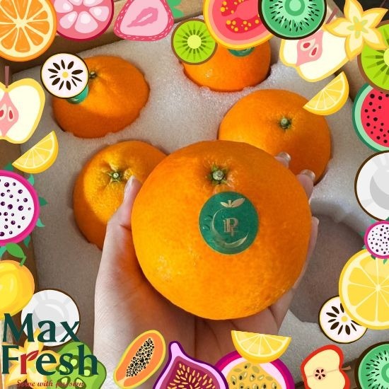 ผลไม้นำเข้าจากต่างประเทศ ผลไม้นำเข้าจากต่างประเทศ