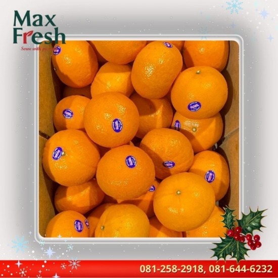 ผลไม้พรีเมี่ยมพร้อมทาน