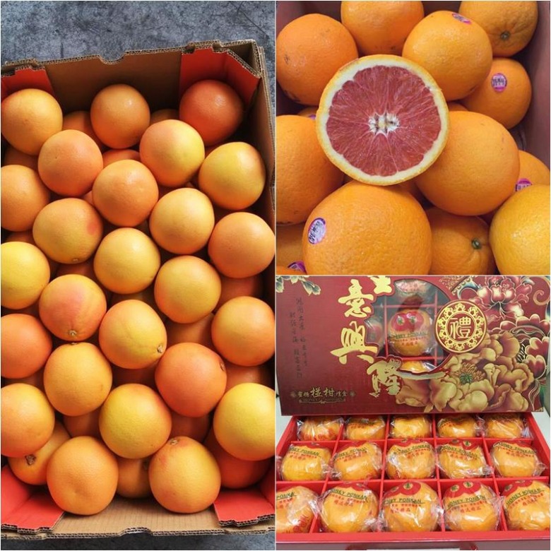 ขายส้มนำเข้า ตลาดไท ขายส้มนำเข้า ตลาดไท