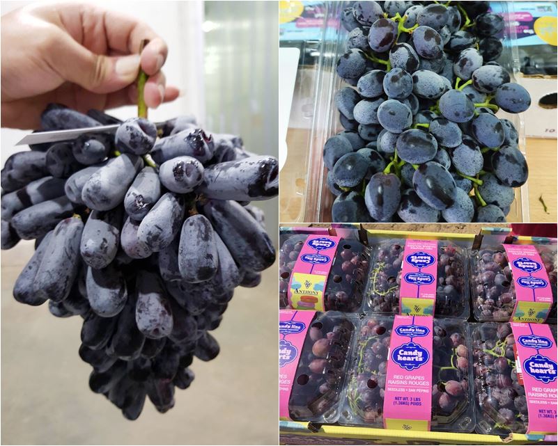 องุ่น ตลาดไท องุ่น ตลาดไท