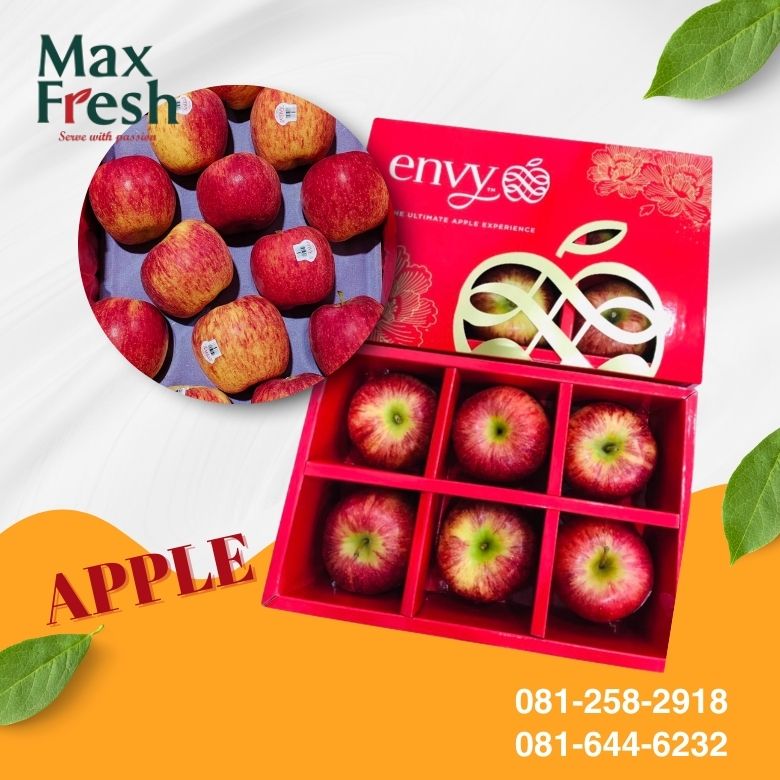 ผลไม้นำเข้าตลาดไท ผลไม้นำเข้าตลาดไท