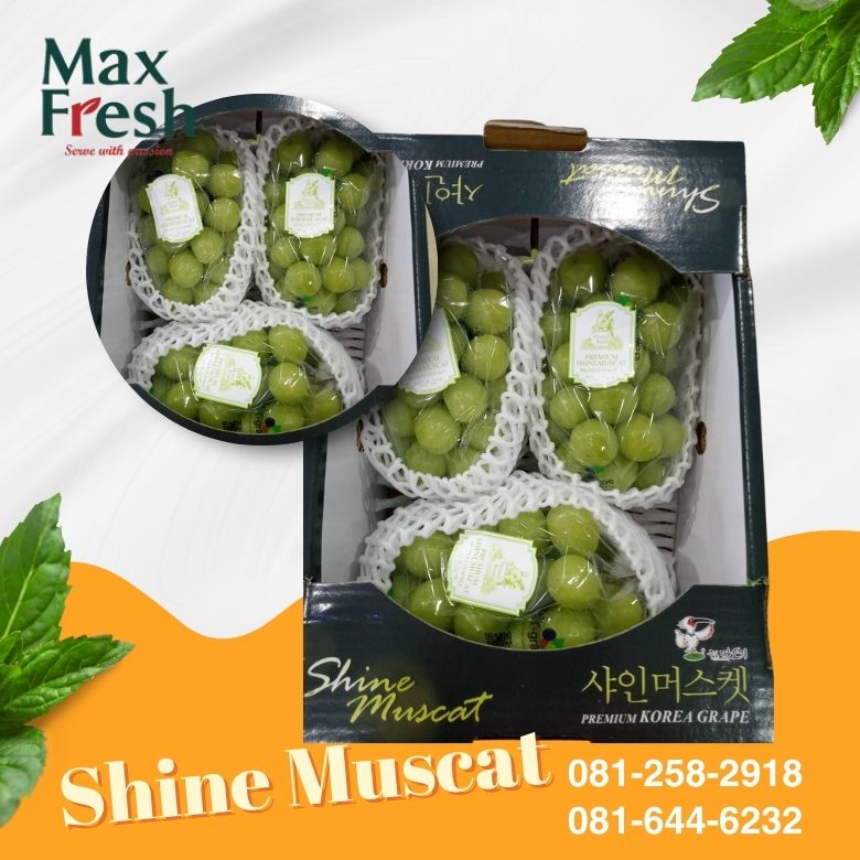 ร้านผลไม้นำเข้าตลาดไท ร้านผลไม้นำเข้าตลาดไท