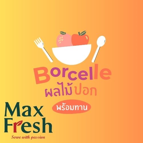 Snack Box เซ็ตผลไม้พร้อมทาน Snack Box เซ็ตผลไม้พร้อมทาน
