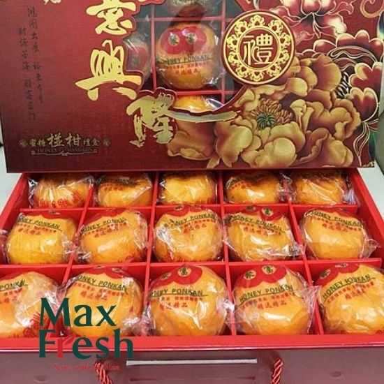 ผลไม้นำเข้าลูกพลับ ผลไม้นำเข้าลูกพลับ