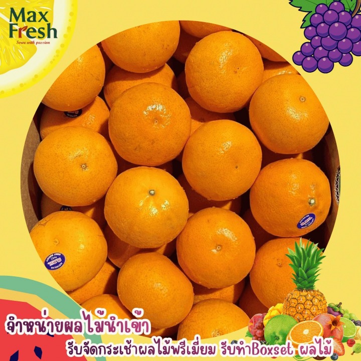 ผลไม้พรีเมี่ยมตลาดไท