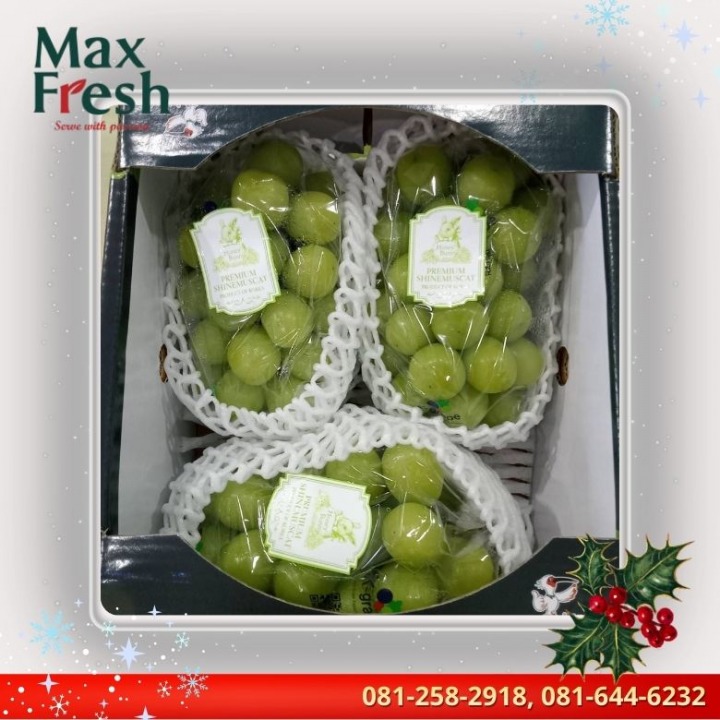 ร้านผลไม้สด ตลาดไท